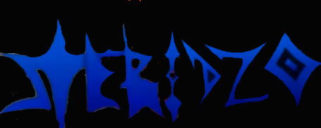 Steridzo logo